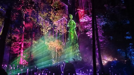 Дрим Форест Лангкави