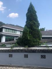 Hangzhou Xihu Ben Shan Longjing Chaye Museum