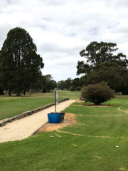 Penola Golf Club