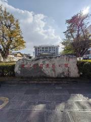 DaLi BaiZu ZiZhiZhou YiShuGuan