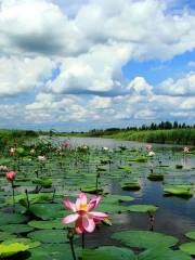 Duluhe Wetland Nature Reserve