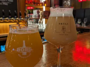 Skuli Craft Bar