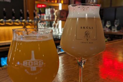 Skuli Craft Bar