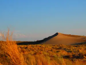 Gurbantunggut Desert