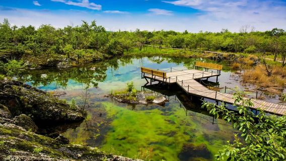 Wenbo Scenic Area - Viewing Platform