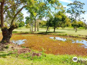 Marinha do Brasil park