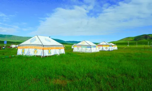 Jinyintan Grasslands