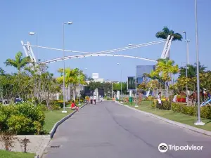 Parque da Cidade