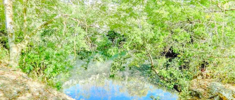 玩水避暑