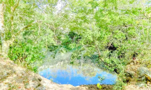 CENOTE KIKIL