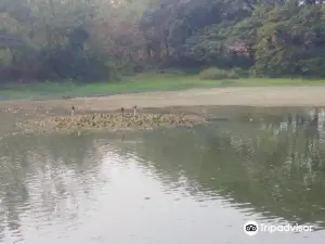 Savar Golf Club