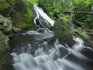 Thundering Brook Falls Trail