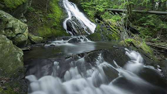 Thundering Brook Falls Trail
