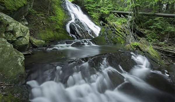 Thundering Brook Falls Trail