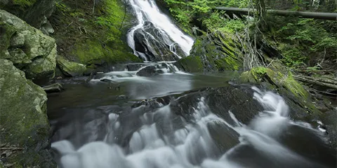 Thundering Brook Falls