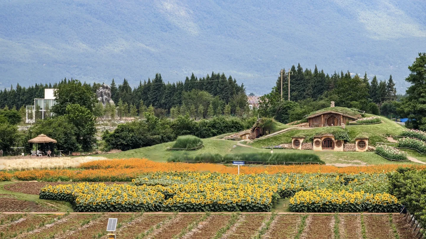 4_Tinghua Valley - Lijiang Flowers Garden