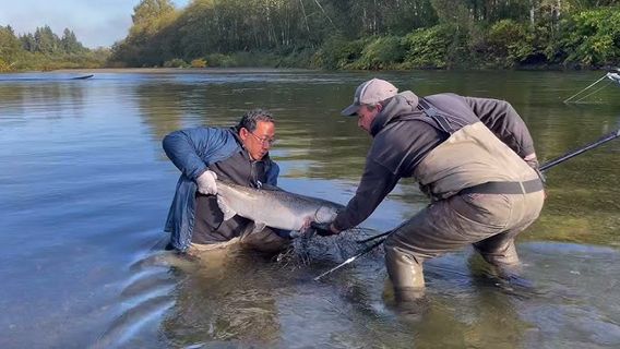Springer's Sport Fishing