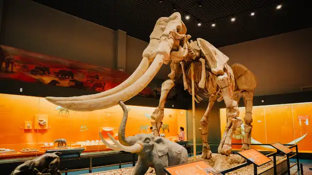 Hotels near Anhui Museum