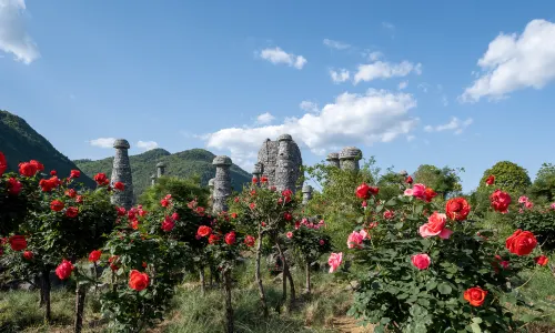 Dieshi Flower Valley, Youyang
