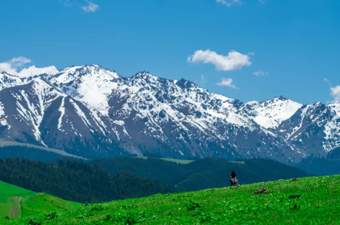 Hotels in der Nähe von Nanshan Ranch