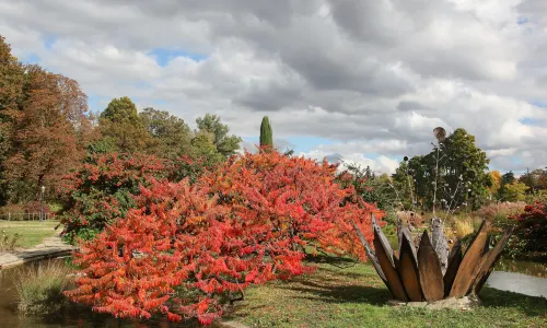 떼뜨 도흐 공원