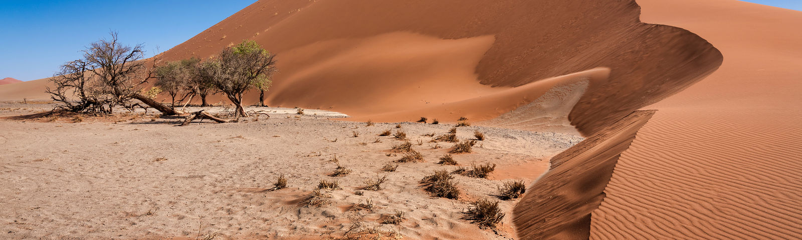 SesriemTours de un día