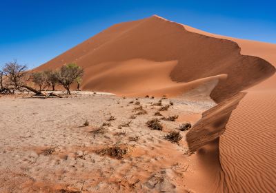 Hardap