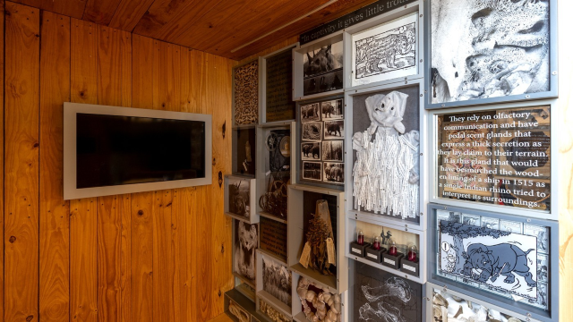 FREIGHTED：500 years of collecting and exhibiting rhinos | Museum of Natural History Vienna