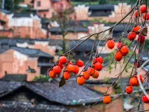 Yangjiatang Village
