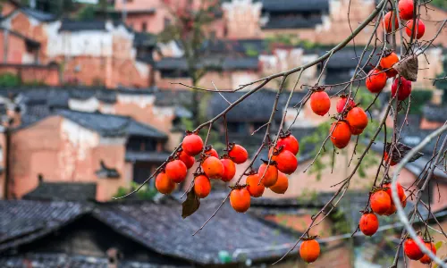 Yangjiatang Village