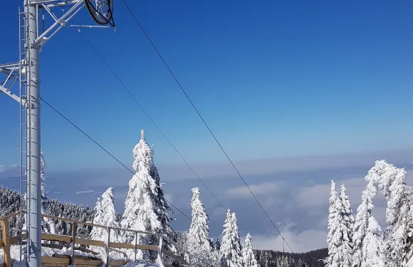 斯洛雯尼格蘭迪克