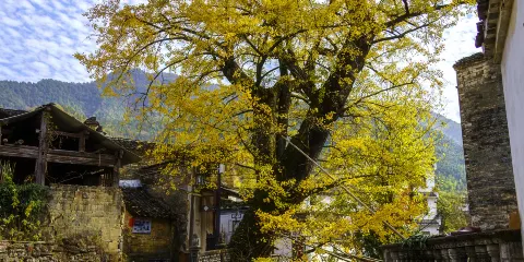 慶源古村