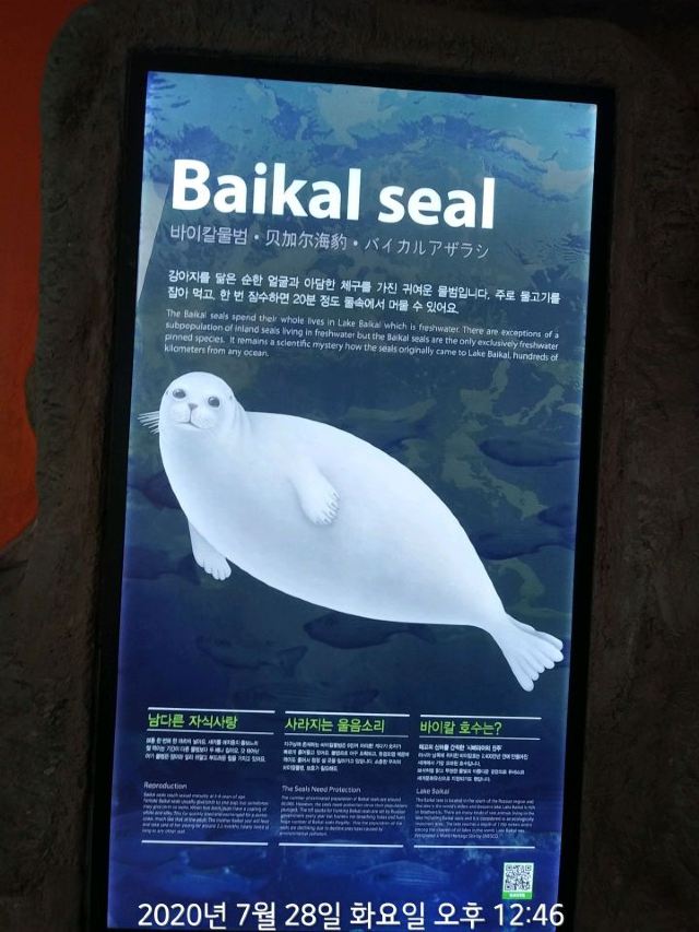 아쿠아플라넷 여수