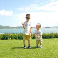 【 帶你進入森林探索的奇妙之旅 】