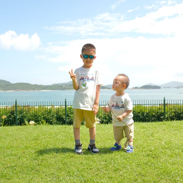 【 帶你進入森林探索的奇妙之旅 】