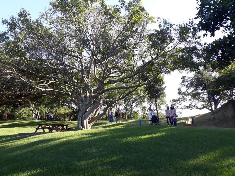 飛牛牧場景點評論 飛牛牧場門票 飛牛牧場優惠 飛牛牧場交通 地址 開放時間 飛牛牧場附近景點 飯店與美食 Trip Com