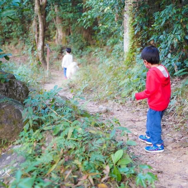#蕉坑自然教育徑，小孩狗狗共享郊遊樂