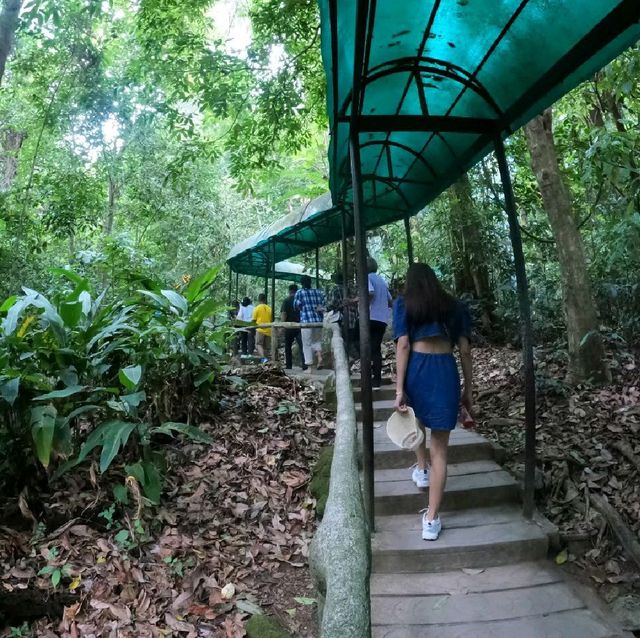 เที่ยวอุโมงค์ปิยะมิตร ชมต้นไม้พันปี