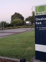 Owairaka Park