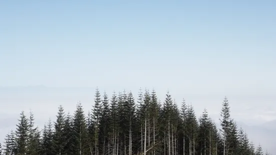 富士山四合目