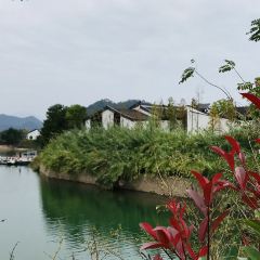 Hangzhou | AHN LUH QIANDAO LAKE· Lakeside All-day Dining User Photo