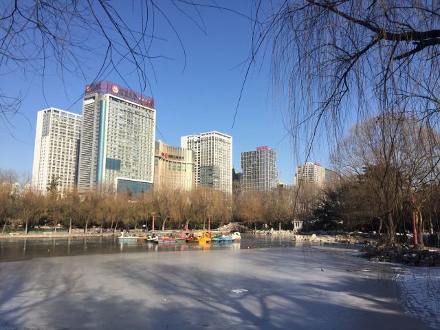 Dongyuan Park