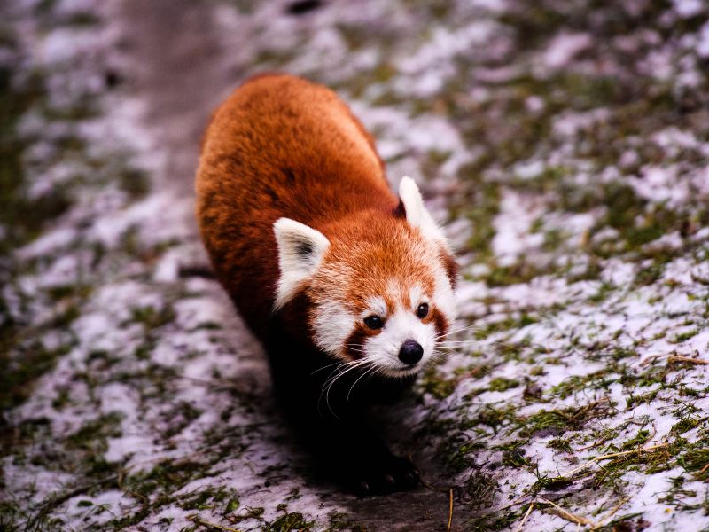 西寧野生動物園歡樂谷