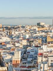 Kathedrale von Jerez de la Frontera