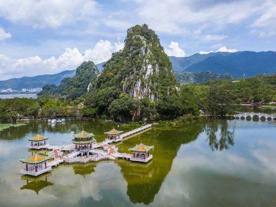 広東肇慶星湖湿地公園