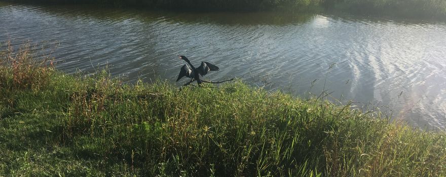 Anbanghe Wetland Park