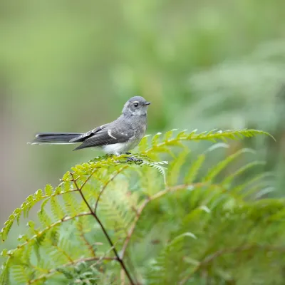 Апартаменты в г. Сайберджая