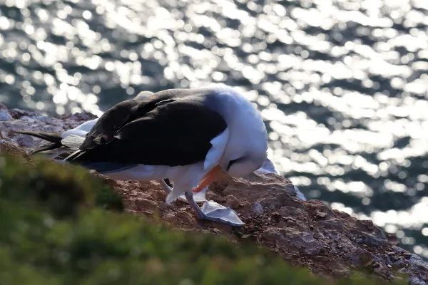 英航 飛 阿斯蒂帕萊阿島