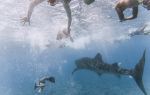 Andy's Scuba Diving