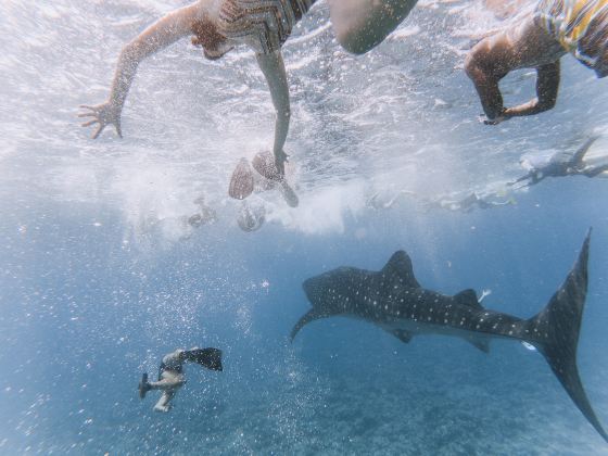 Andy's Scuba Diving